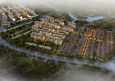 4991641539359413.jpg 2.jpg